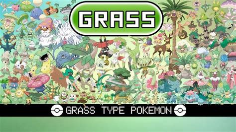All Grass type Pokémon in Pokémon Sword & Shield.